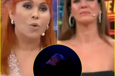 Magaly destruye a Tilsa Lozano por aconsejar a Jackson Mora tras ‘ampay’: “La experta en clandestinidad”