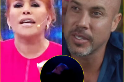 Magaly ‘destruye’ a Bruno Agostini hablar de sus exsalientes en ‘EVDLV’: “Los detalles morbosos por 25 mil soles”
