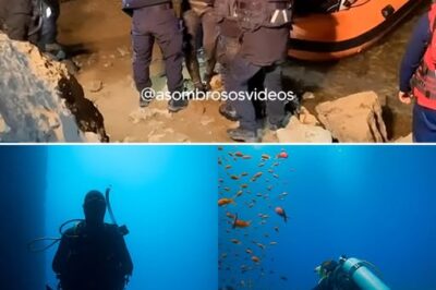 Cinco días bajo el mar: la odisea del buzo que desafió a la muerte en Almería