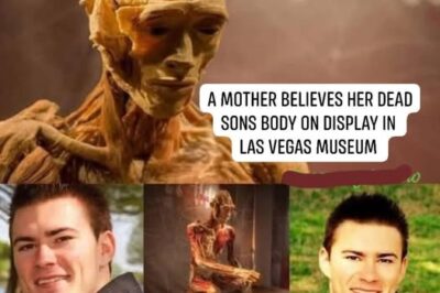 Entre vitrinas frías: la madre que encontró a su hijo en una exhibición de cuerpos