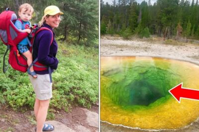 Crónica: “El eco de las Rocosas: la madre que no volvió”