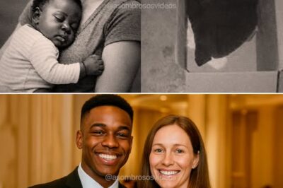 La caja de cartón que escondía un destino: cuando el abandono se convirtió en un milagro en Sevilla