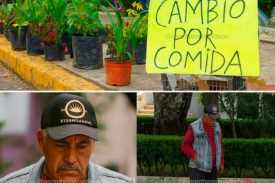El hombre que cambió plantas por dignidad