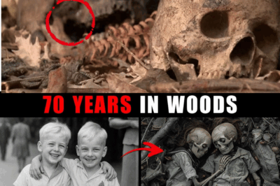 Crónica: Los hermanos del bosque – 75 años de silencio roto