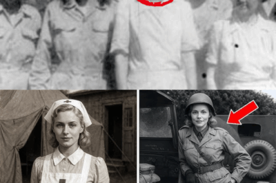 La enfermera del ejército que desapareció en 1942… 40 años después, una foto reveló su verdad más oscura