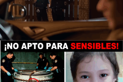 El eco del sótano: tres años de llanto ignorado en la casa del profesor