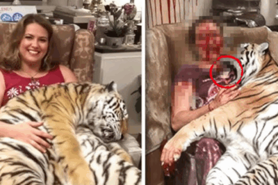 El rugido que nadie olvidará: la tragedia del tigre en Valencia