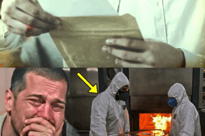 El billete escondido en el ataúd: el secreto que estremeció a un crematorio en Sevilla