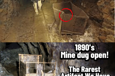 El Secreto Maldito de la Mina Olvidada: Lo Que Nunca Debió Ser Descubierto