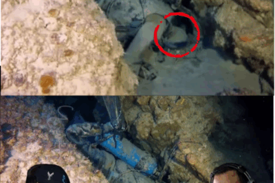 El abismo azul: crónica de un cementerio bajo el mar