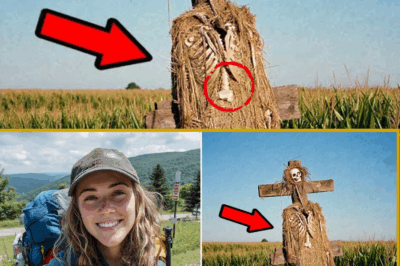 La excursionista desaparecida en los Apalaches: el secreto detrás del espantapájaros