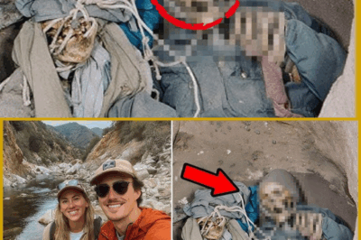 La grieta del silencio: la pareja perdida en Cold Spring