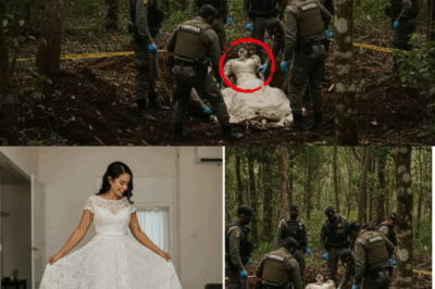 Desapareció el día de su boda: 13 años después hallaron a la novia con su vestido en el bosque de Campinas