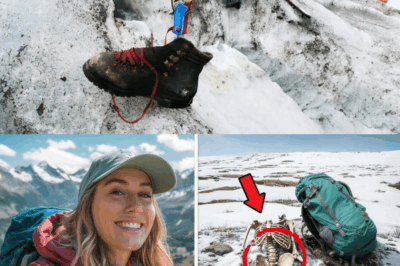 SUBIÓ A LA MONTAÑA BUSCANDO AVENTURA… Y TERMINÓ DESCUBRIENDO ALGO QUE NADIE ESTABA PREPARADO PARA VER