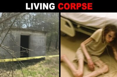 Los vecinos llamaron a la policía por un hedor nauseabundo que salía de esta casa…