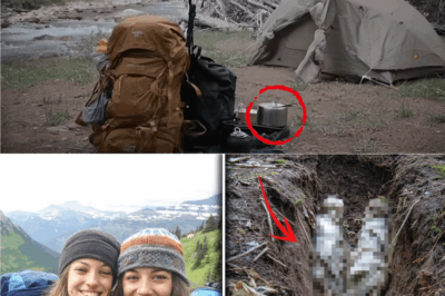 Las gemelas de Montana: siete años de silencio, un hallazgo en la tierra