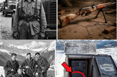 Los hombres del hielo: el misterio del refugio sellado en los Alpes