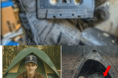 Desapareció hace más de 30 años… pero su tienda volvió a aparecer intacta.