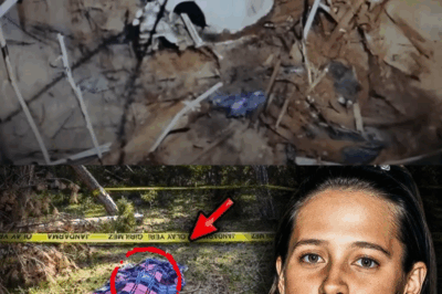 🕯️ EL BOSQUE QUE GUARDA LOS GRITOS