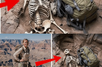 La niña que desapareció hace 10 años en el Gran Cañón (y lo que encontró un escalador) conmocionó al país.