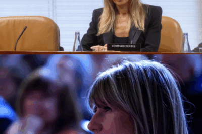 ¿Qué descubrió realmente el abogado… para abandonar el caso? En un giro que nadie vio venir, Carlos Perales rompe filas con Manos Limpias y revela un detalle explosivo: detrás del caso Begoña Gómez no habría estrategia jurídica, sino un motor oculto mucho más político de lo que imaginábamos. Si el propio abogado se baja del barco… ¿qué está pasando detrás del telón?(hh)