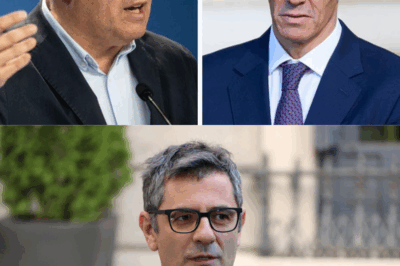 España bajo la lupa: Tellado no se guarda nada. Habla de un ‘Gobierno fantasma’, acusa al fiscal general de haber ‘manchado su toga de fango’, y critica a Bolaños por interpretar a su manera la Ley de amnistía. Mientras tanto, en Valencia, PP y Vox prometen ‘altura de miras’ para un acuerdo que nadie sabe cómo terminará. Política, escándalos y promesas: cada palabra parece cargar un mensaje oculto. La gran pregunta: ¿qué más queda detrás de estas declaraciones explosivas?(hh)