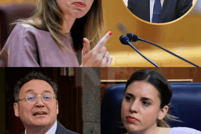 Un minuto y medio de absoluta conmoción: Irene Montero, exministra de Igualdad, reaccionó con furia extrema al fallo del Tribunal Supremo contra el fiscal general Álvaro García Ortiz. Un mensaje breve, pero incisivo como un llamado político en medio de una tormenta institucional.