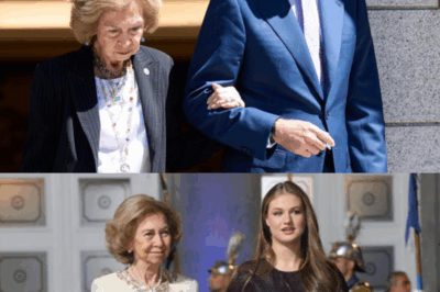 El homenaje a la reina Sofía oculta más de lo que muestra: gestos sorprendentes, miradas cargadas de historia y secretos familiares emergen tras la entrega del Toisón de Oro, dejando entrever tensiones y alianzas inesperadas en la familia real.HH