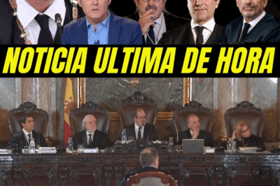 España, atrapada en un thriller institucional: conflictos de intereses ocultos, un juez del Supremo que rompe el secreto de deliberación, una sentencia que no aparece, la sombra de nuevas querellas y una red de relaciones íntimas entre magistrados, abogados y poder político que amenaza con sacudir los cimientos del sistema judicial y empujar al Estado hacia una crisis de consecuencias imprevisibles.HH