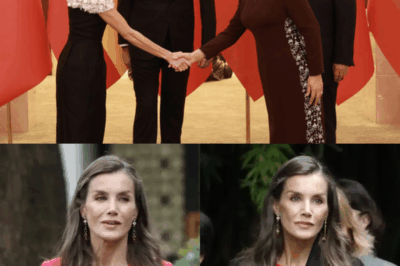 La Reina Letizia impacta en China con un vestido rosa que desliza secretos entre bambalinas. Cada gesto, cada mirada, parece hablar de alianzas, mensajes ocultos y decisiones que nadie se atreve a comentar. Lo que se ve es solo la superficie… ¿qué se oculta tras su impecable elegancia?HH