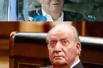 Las memorias más tensas de Juan Carlos I: confesiones sobre sus nietas, reproches silenciosos a Felipe VI y la sombra incómoda de Letizia que reaviva un viejo conflicto en la Corona.HH