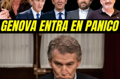 GÉNOVA BAJO CERCO: EL THRILLER POLÍTICO QUE HUNDE A FEIJÓO ENTRE FILTRACIONES PROHIBIDAS, NARCOTRÁFICO Y PÁNICO EN LA CÚPULA DEL PP.HH