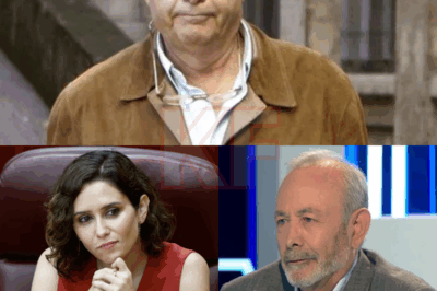 “Nadie esperaba esta respuesta… y dejó a todos sin palabras.” Cuando le preguntaron sobre las declaraciones de Ayuso, el juez Castro respondió con una sola frase que resume todo, un veredicto silencioso pero demoledor que revela más de lo que cualquiera podía imaginar. Su mirada y sus palabras condensan un juicio moral que trasciende la política. Y lo que no dijo… quizá diga aún más de lo que pensamos.