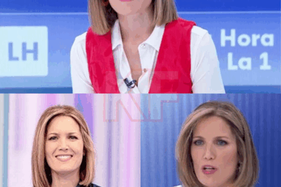 La periodista de TVE ha encendido todas las alarmas con una revelación que nadie esperaba escuchar en directo. Silvia Intxaurrondo aseguró haber accedido a información que apunta a encuentros discretos y muy sensibles vinculados a la reciente sentencia contra el fiscal del Tribunal Supremo. Su afirmación cayó como un rayo en el panorama mediático, obligando a más de uno a replantearse lo que creían saber. ¿Quién estuvo allí? ¿Por qué se ocultó? ¿Y qué significa esto para el futuro inmediato? Las próximas horas podrían ser decisivas, y el clima de tensión es ya imposible de disimular.