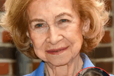 A las puertas de un acto histórico, cuando la Reina Sofía está a punto de recibir el Toisón de Oro tras seis siglos, surgen señales inquietantes que obligan a reunir a toda la Familia Real: un retrato inesperado de poder, silencios y alianzas ocultas que insinúa algo mucho más grande que una simple ceremonia.HH