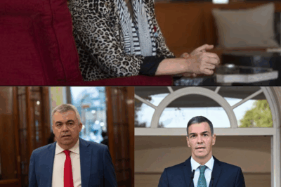 La réplica de Rahola cayó como un latigazo: “Estamos ante un escándalo político de primer nivel”. Mientras Santos Cerdán intenta salir del barro acusando “mentiras y manipulaciones”, Rahola eleva la apuesta… y apunta a algo mucho más grande de lo que se ha contado. ¿Qué sabe exactamente? ¿Qué pieza falta en este rompecabezas que ya huele a terremoto institucional? Las declaraciones chocan, las versiones se rompen… y el silencio de algunos empieza a ser demasiado estruendoso. Algo enorme se mueve detrás del escenario. La pregunta es: ¿quién va a caer cuando se enciendan todas las luces?(hh)