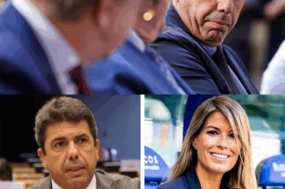 Un simple ticket… y toda una versión que empieza a tambalearse. La historia que Mazón repitió una y otra vez acaba de sufrir un giro inesperado: el registro del parking revela que llegó al Palau en el coche de Vilaplana. Una periodista, un trayecto silencioso y una hora marcada a fuego: 20:00 h. Demasiadas piezas encajan demasiado bien. ¿Estamos ante un descuido… o ante la pista que nadie debía encontrar?(hh)