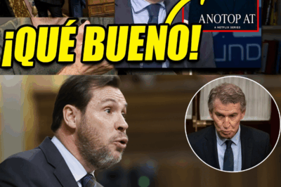 El día en que Óscar Puente convirtió el Congreso en un escenario de escarnio nacional: la humillación pública a Feijóo, el tropiezo que estalló en memes, dudas internas, cuchillos afilándose en el PP y una pregunta que recorre España entera: ¿ha llegado el momento en que el líder popular queda expuesto como nunca antes?HH