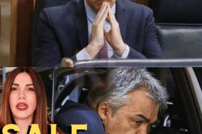 La tensión ha estallado en Ferraz. En apenas unos días, Pedro Sánchez ha pasado de exhibir fortaleza institucional a enfrentarse a un clima de desconfianza creciente dentro de su propio partido. Dirigentes territoriales, barones y figuras históricas del PSOE admiten en privado que las alarmas han comenzado a sonar, preocupados por el desgaste político, los frentes judiciales y el impacto de las últimas polémicas que salpican al núcleo más próximo al presidente. Mientras en Moncloa se esfuerzan por transmitir serenidad, en los pasillos socialistas se habla ya de “un momento crítico” que podría marcar un antes y un después en la legislatura.