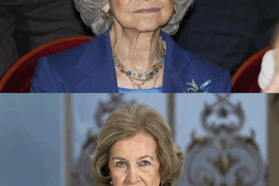 Última hora en Zarzuela: la reina Sofía, atendida de urgencia por el equipo médico tras sufrir una depresión severa que mantiene en vilo a Felipe VI, Elena y Cristina. El estado de la emérita preocupa a toda la Familia Real, se habla de episodios delicados, aislamiento extremo y tensiones internas que podrían cambiarlo todo.HH