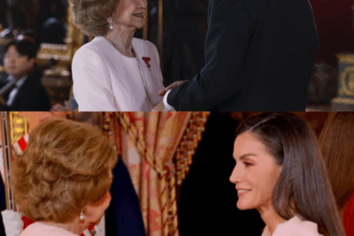 ¿Coincidencia… o mensaje oculto en pleno Palacio Real? En la ceremonia del Toisón de Oro, Letizia y la reina Sofía aparecieron vestidas del mismo tono rosa, como si compartieran un secreto que nadie más debía escuchar. Entre los pasillos dorados y las miradas contenidas, la Reina lanzó lo que muchos ya llaman “el guiño más sorprendente del año” hacia su suegra. Una sincronía inesperada. Un simbolismo que nadie vio venir. Y una pregunta que sigue flotando en el aire como un susurro incómodo: ¿Fue un simple gesto elegante… o una alianza silenciosa a punto de estallar?(hh)