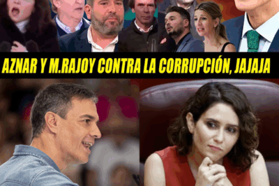 España en llamas: entre insultos, maniobras ocultas y una guerra política sin tregua, Ayuso, el PP, Vox y el sanchismo desatan una tormenta nacional donde la calle estalla, los medios se polarizan y cada frase se convierte en munición; una batalla feroz que expone un país fracturado, exhausto y atrapado en un espectáculo de poder al borde del colapso.HH