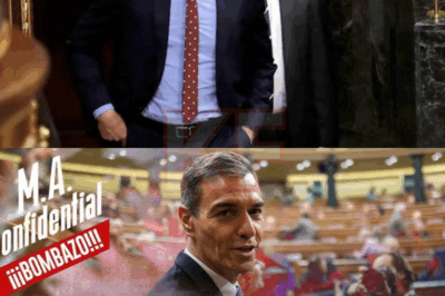 “Una voz, una orden y la grabación que nadie debía escuchar ahora se expande en la sombra: una prueba sonora que apunta a Sánchez como el jefe absoluto de la red de poder clandestina. La historia crece, los nombres emergen, las lealtades tiemblan… Los expertos hablan de una ‘implicación directa’, los partidos se tambalean y la pregunta ya no es si caerá… sino quién caerá con él.