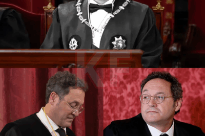 El impacto de la sentencia contra el Fiscal General ha generado un escenario explosivo en el ámbito judicial español. Los expertos advierten de un laberinto jurídico sin precedentes: desde la posibilidad de que el fallo sea anulado, hasta una batalla ante el Tribunal Constitucional y, finalmente, la llegada del caso al Tribunal Europeo de Derechos Humanos. En la Moncloa, nadie descarta que el Gobierno deba considerar incluso la opción de una amnistía si la crisis institucional continúa intensificándose. Mientras tanto, García Ortiz se enfrenta a una batalla legal que podría convertirse en la más larga y llena de incertidumbres de toda la carrera de un Fiscal General.