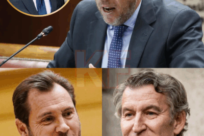 Óscar Puente no respondió a Feijóo: lo derrotó. Ante las declaraciones del líder del PP sobre la sentencia del Fiscal General, el ministro no dudó ni un segundo en usar su arma predilecta: el diccionario. Pero no fue solo un gesto irónico, sino una auténtica ejecución política. Con cada palabra leída, Puente diseccionaba un fragmento del discurso de Feijóo. Con cada definición, exponía contradicciones. Y con cada pausa, el silencio se volvía más humillante que cualquier grito. Lo que empezó como una respuesta institucional se convirtió en un espectáculo viral, una clase magistral de ironía que se extendió por redes sociales y dejó al PP atónito. Porque esta vez, Puente no se limitó a refutar un argumento: desmintió por completo la historia de Feijóo… y lo hizo con el arma más simple y peligrosa: las palabras del propio presidente del Partido Popular.