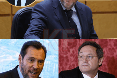 Con apenas dos palabras y una imagen, Óscar Puente ha logrado poner patas arriba la narrativa política tras la reciente condena al Fiscal General del Estado. La publicación, cargada de significado y provocación, ha incendiado las redes sociales, generando un aluvión de comentarios y especulaciones sobre las implicaciones del fallo. Lo que parecía un momento institucional más se ha convertido en un torbellino mediático que nadie esperaba.