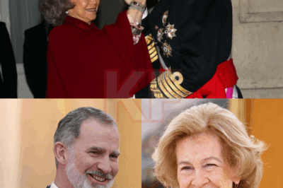 “A los ojos de una madre, un hijo siempre sigue siendo un niño”: las redes iluminan el emotivo momento entre el rey Felipe y la reina Sofía que pasó desapercibido durante la imposición del Toisón de Oro. Mientras la televisión se centraba en el protocolo solemne, las redes sociales detectaron lo que las cámaras oficiales no captaron: un instante de ternura excepcional entre el rey Felipe VI y la reina Sofía. Un leve roce de manos, una mirada cargada de orgullo y un susurro casi imperceptible fueron suficientes para romper todos los moldes de la rigidez monárquica. Un gesto fugaz, sí, pero lo bastante poderoso como para conmover a todo un país.