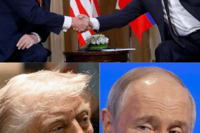 Una llamada filtrada… y un “plan de paz” que podría incendiar el mapa mundial. En las sombras de la diplomacia paralela, una grabación secreta expone conversaciones entre el enviado de Trump y el Kremlin: concesiones territoriales a Rusia, movimientos ocultos y una estrategia para forzar un acuerdo sobre Ucrania que nadie había contado. Un trato silencioso, un tablero en tensión, y demasiadas piezas moviéndose fuera de foco. ¿Paz… o el preludio de un nuevo orden escrito en susurros?(hh)