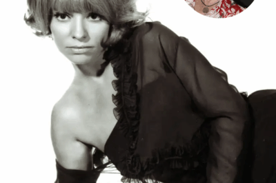 Encarnita Polo fallece a los 86 años: la desaparición de la actriz y cantante esconde un giro inesperado que la Policía acaba de destapar…HH