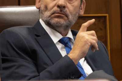 24 años de sombra sobre Ábalos… y un caso de mascarillas que vuelve a explotar. La Fiscalía lo acusa de tejer una organización criminal junto a Koldo, mientras las cifras —19,6 años aquí, 7 años allá— dibujan un mapa de poder, dinero y traiciones. Pero la pregunta que nadie se atreve a formular es esta: ¿Quién fue realmente el arquitecto del negocio… y qué parte de la historia aún permanece enterrada?(hh)